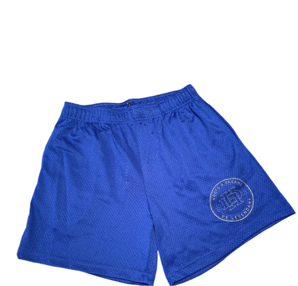 HD Mesh Shorts