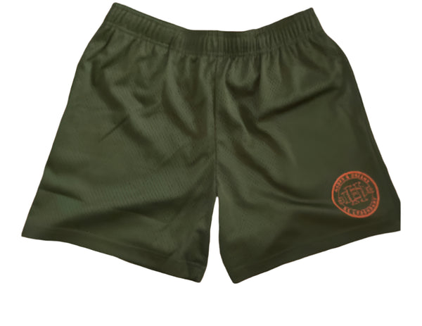 HD Mesh Shorts  (Olive Green and Sage)