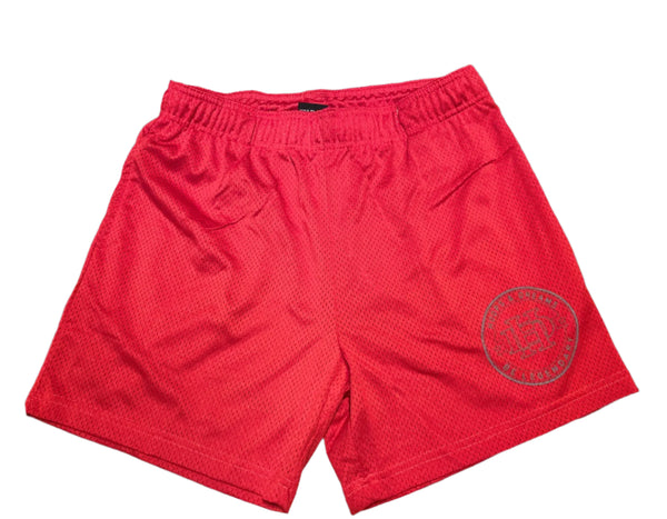 HD Mesh Shorts